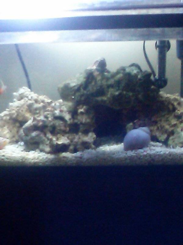 10 Gallon Nano CAM00013