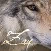 Zan's Avatars and Signatures (updated 6/04/2012) AshesWolf-2