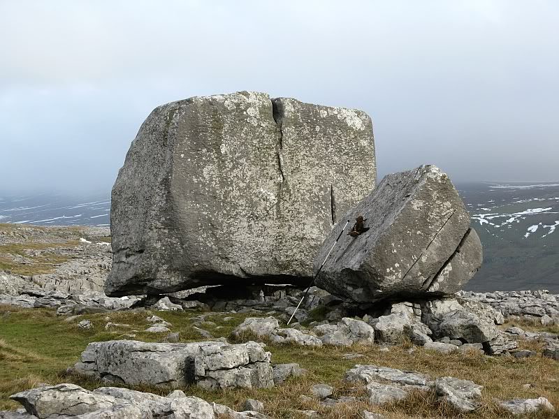 A Few Erratics CheesePressStone