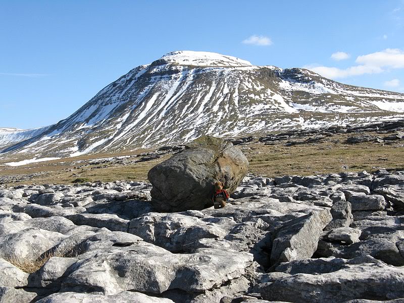 A Few Erratics Ravenscar144