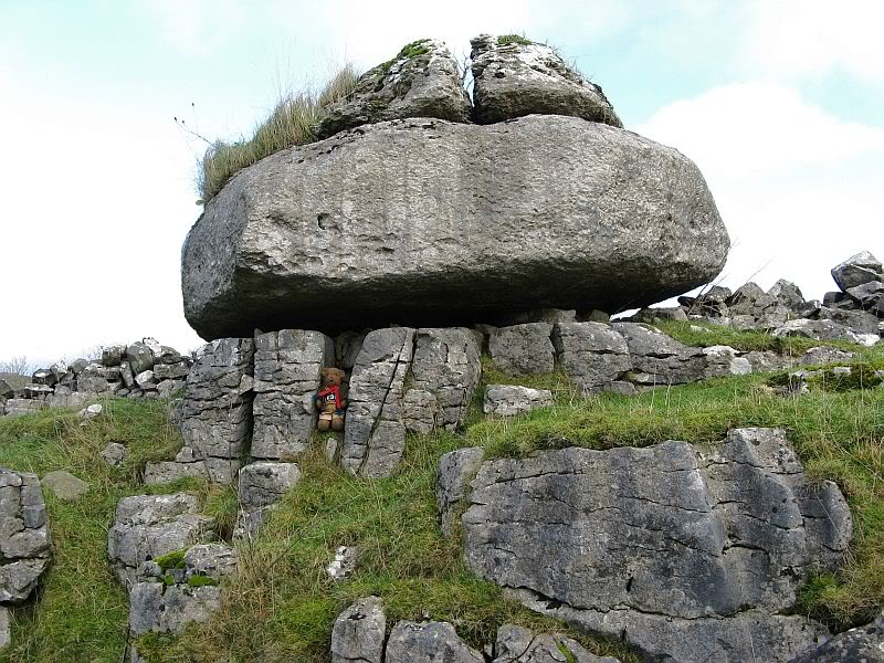 A Few Erratics ThornsGillerratic2