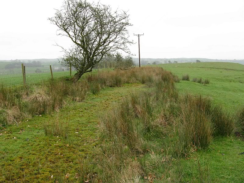 Possible Roman Site in Horton Lancashire 07