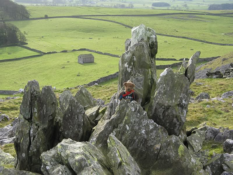 A Few Erratics 06teddyabovebarn