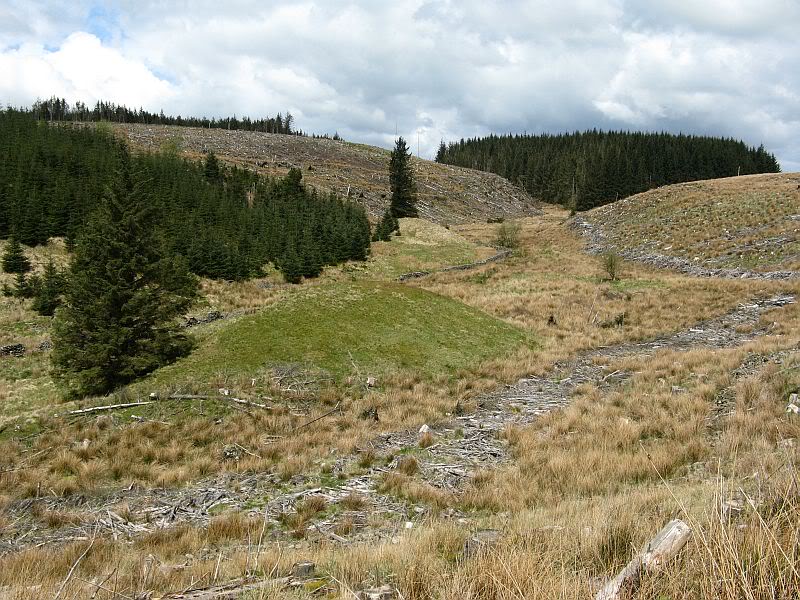 Brown Hill Barrows StoN1