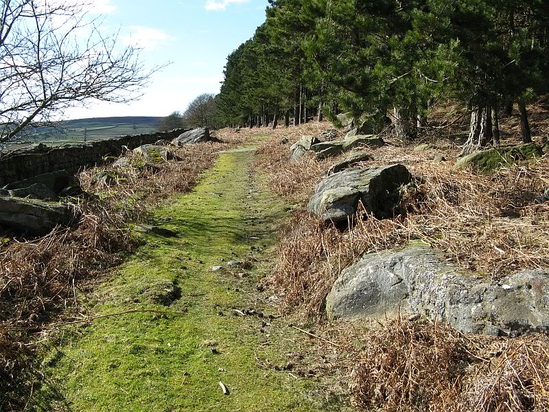 Agra Wood - Rock Art Frontofwood