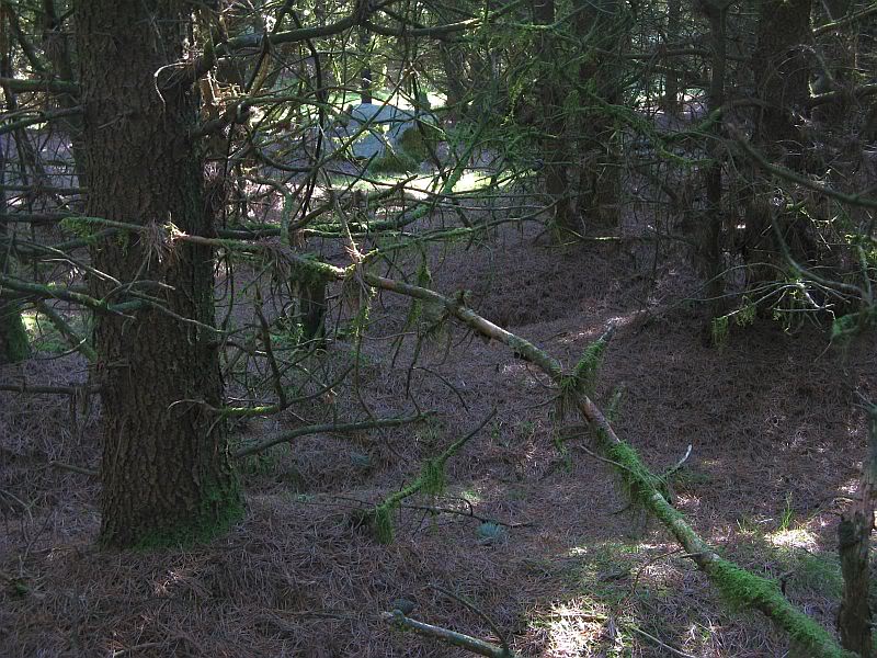 Rivock Edge Hiddenintrees