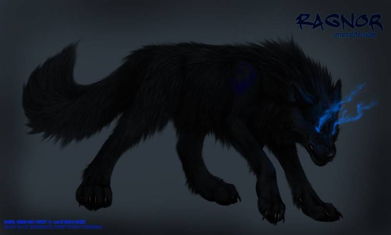 Sojiro Inuzuka (Black beast of the Inuzuka) Shadow2