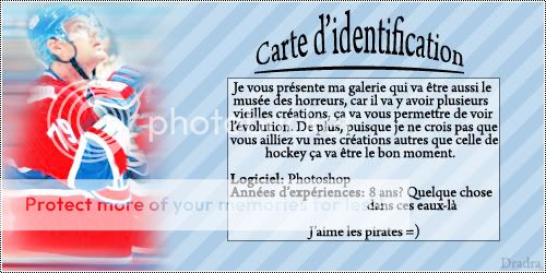 Ma galerie :o Cartedidentification