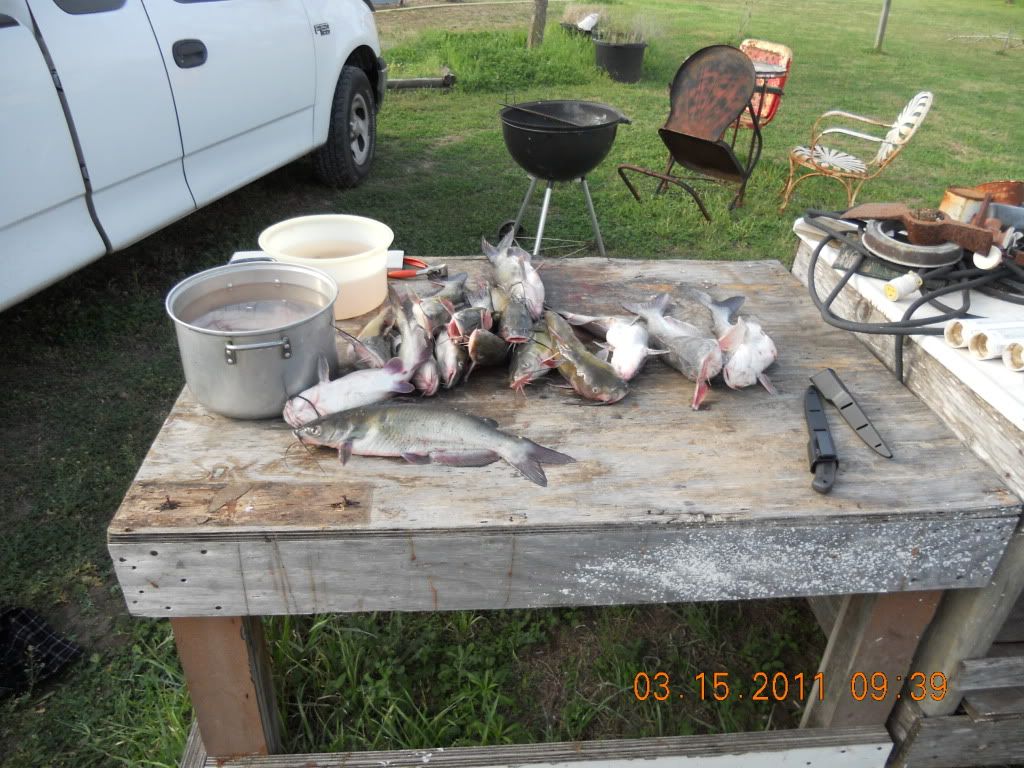 CALAVERAS LAKE CATFISHIN IS HOT!!! 003-9