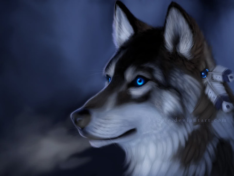 My Wolf Characters Looking For RP's. {I will make their bios once someone choses to have an RP with them} FeatherWolf