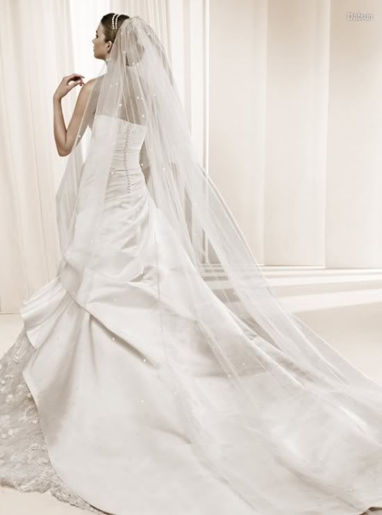 La Sposa 2011 Wedding Dresses‏  Lasposa-gelinlik-modelleri56-550x741