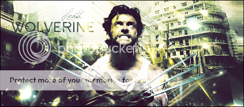 My Gallery Wolverine