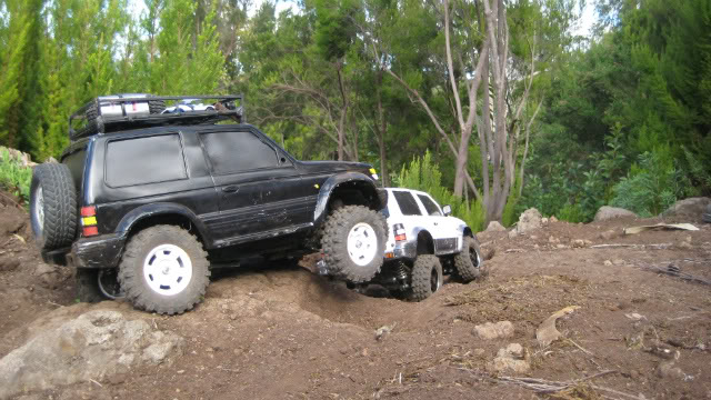 FOTOS DE QUEDADAS EN TENERIFE...   - Página 13 ECCAR174