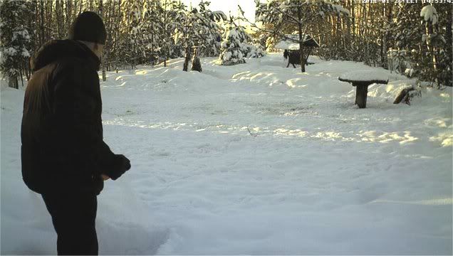 ESTONIAN WILD PIG CAM 2010 -2011 - Page 30 2601mait1