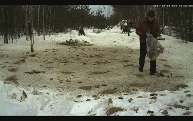 ESTONIAN WILD PIG CAM 2010 -2011 - Page 3 Image3-2