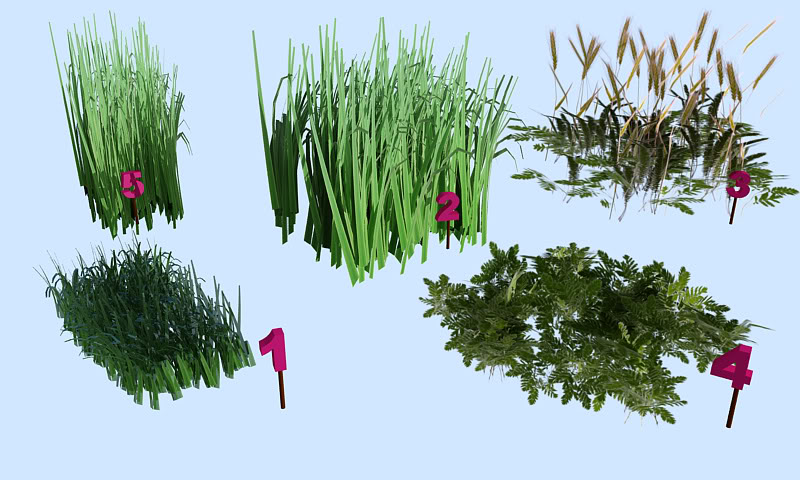 Grass Model - Page 3 Grassmodels