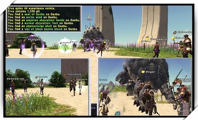 Linkshell Event Report 7/21/2010( 7 Pictures total) Ffxi_20100722_110616