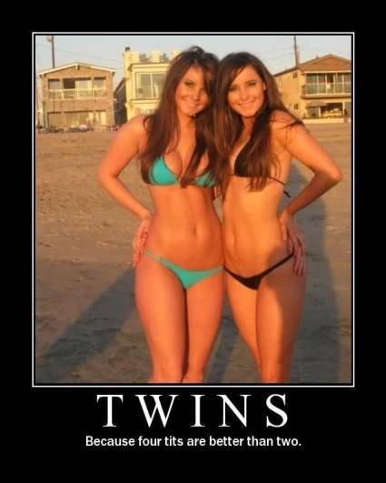 Demotivational posters Twins