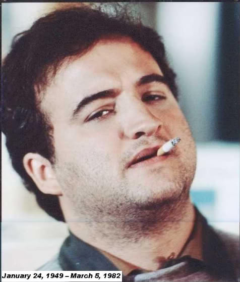 Celebrity look-alikes? JohnBelushi