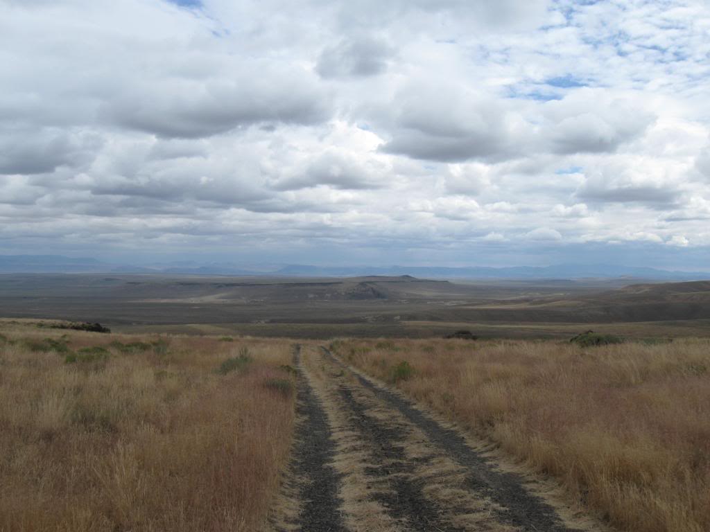 Buck and Parcel's 960 mile Great Basin Cattle Drive. BL103