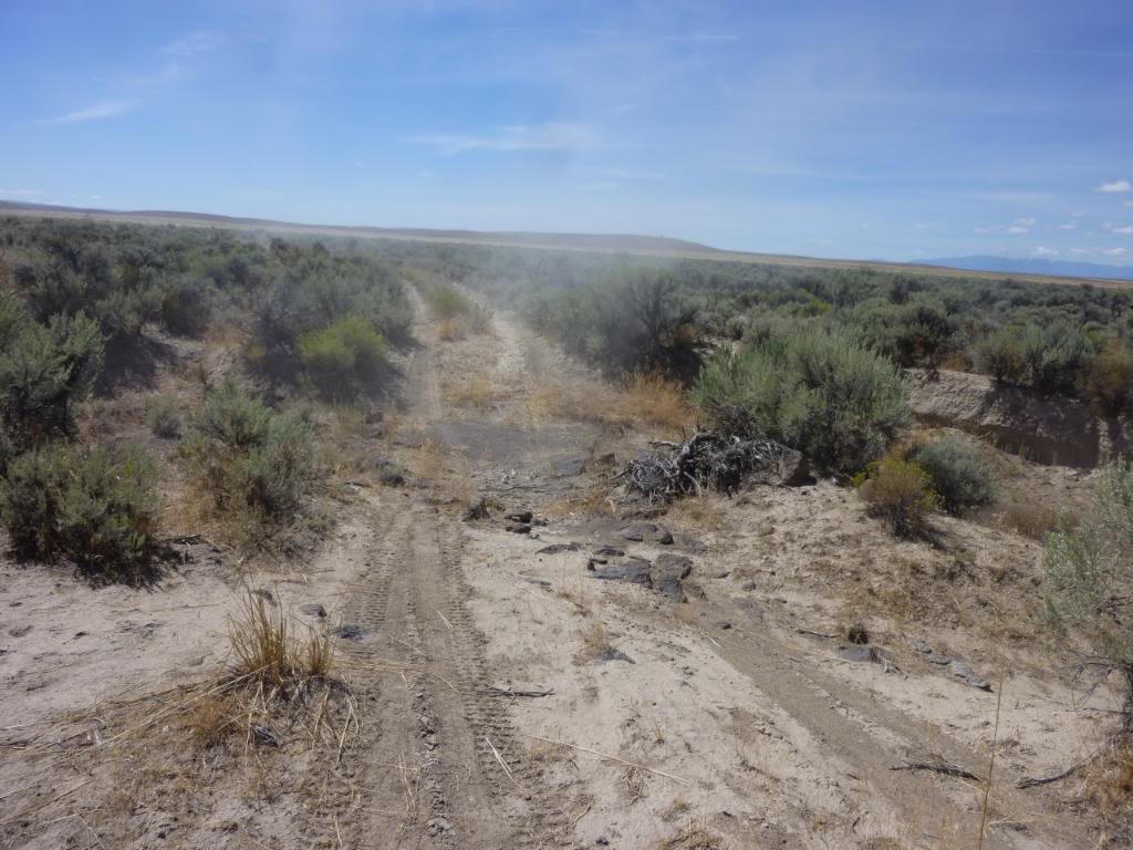 Buck and Parcel's 960 mile Great Basin Cattle Drive. BL218