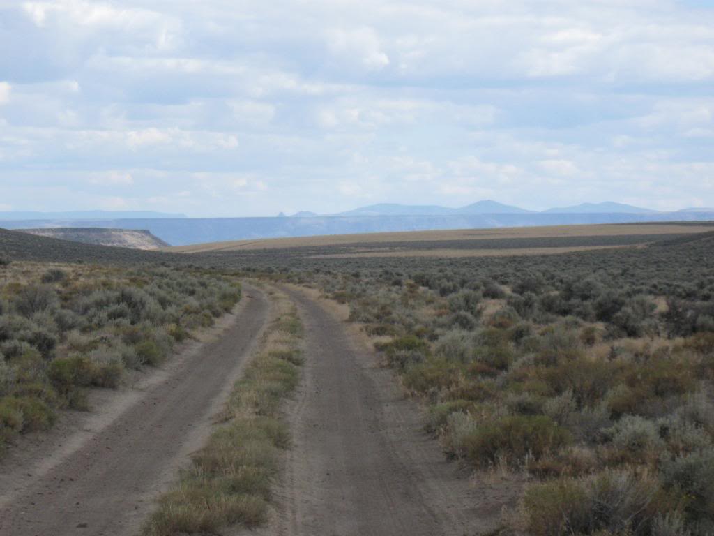 Buck and Parcel's 960 mile Great Basin Cattle Drive. BL23