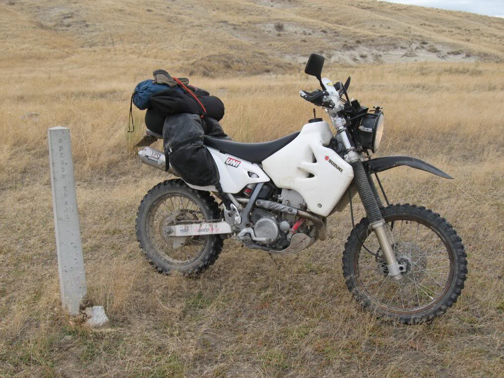 Buck and Parcel's 960 mile Great Basin Cattle Drive. BL317