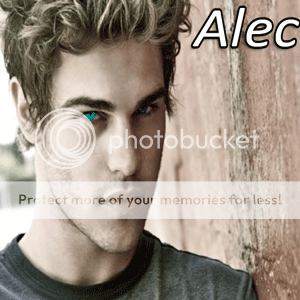 Alec's Sheet Grey_damongif