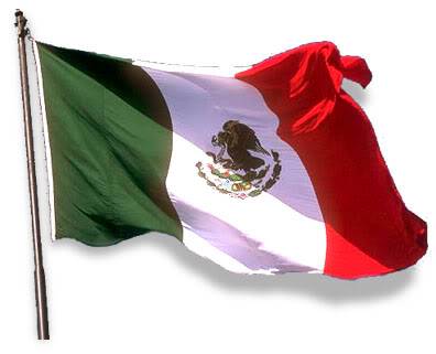 Ficha Mexicana Mexico_flag-waving