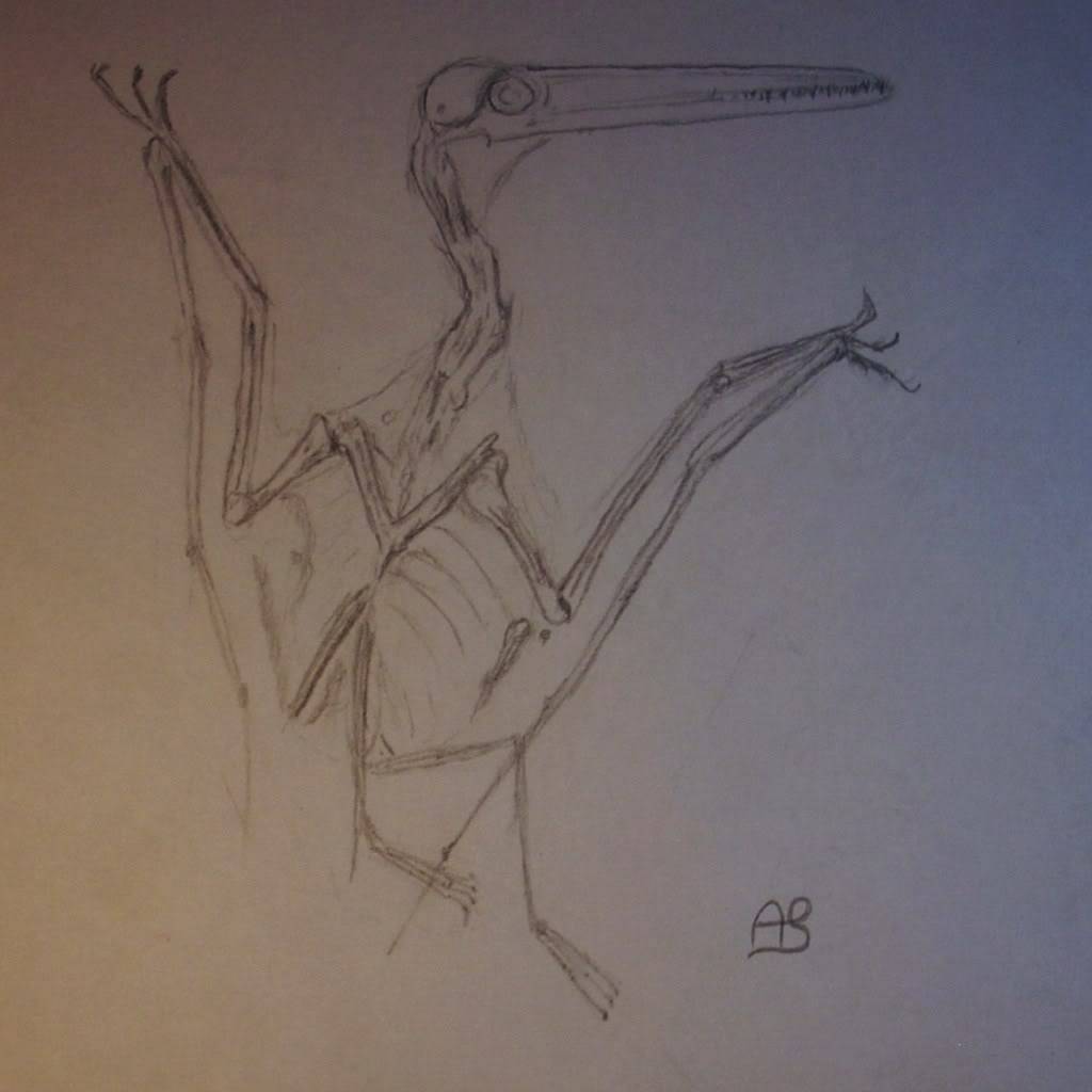 Dibujos de Adrián Pterodactylus