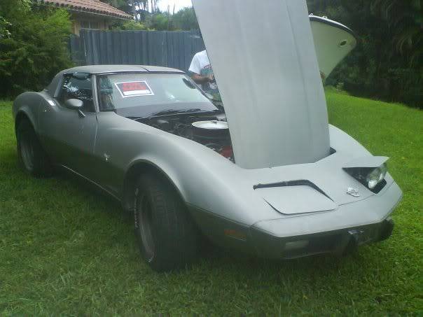 bro & sis project car Vette