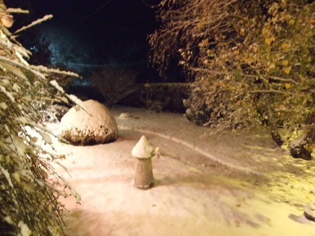 Le forum de l'amitié de la généa - Page 25 Neige014