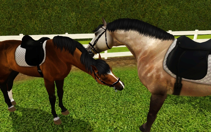 ~Silverdale Stud Scrapbook~ Screenshot-16-Recovered-Recovered_zps0c6cb928