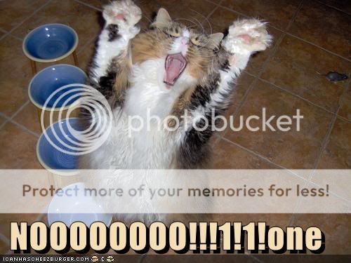 Lolcat magazine. LOLLING. $3.67 128260850732343750NOOOOOOOO1