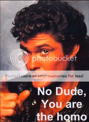 Good Memorys for everyone. Hasselhoff-Homo