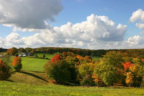 Happy - Autumn Scenery