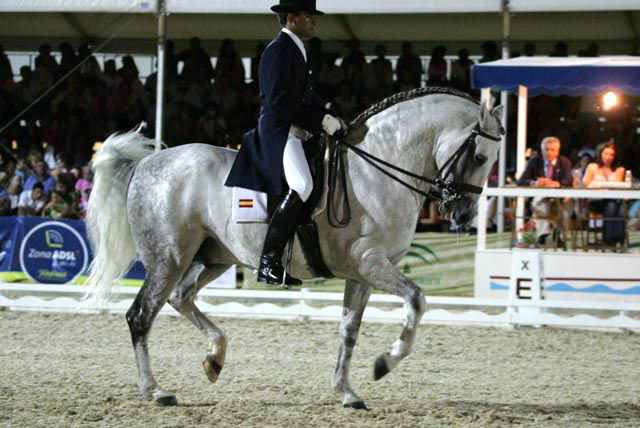 Lusitano 8dcd5846