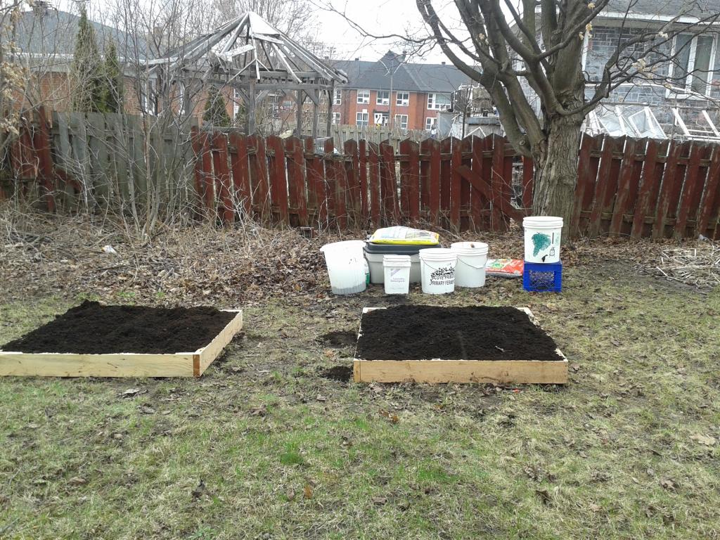My 1st container garden 2014 20140504_130359_zps3007aa6f