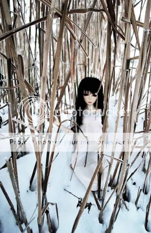 A White Nightmare [Crobidoll Nia hybrid] 5