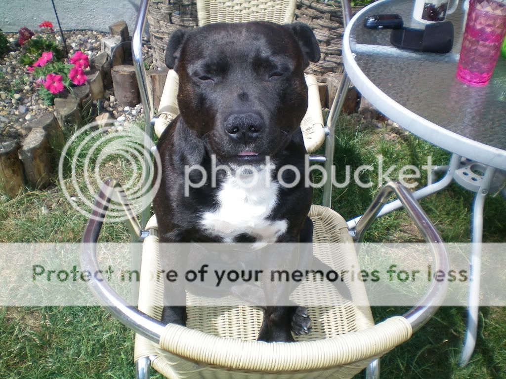 How NOT To Sit On A Chair By Diesel Picture325