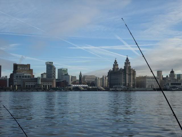 Mersey cod mission  SAM_0590