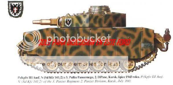 PzKpfw III Ausf.N (1/16) (RC) PzIIIN1_zps3159a78e