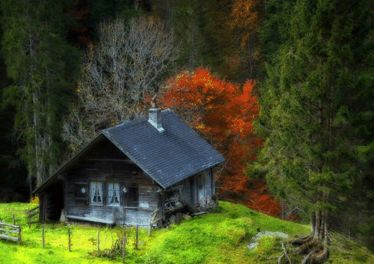 Home of Helga, Ulrich her father and Baby Ägid  ForestHome