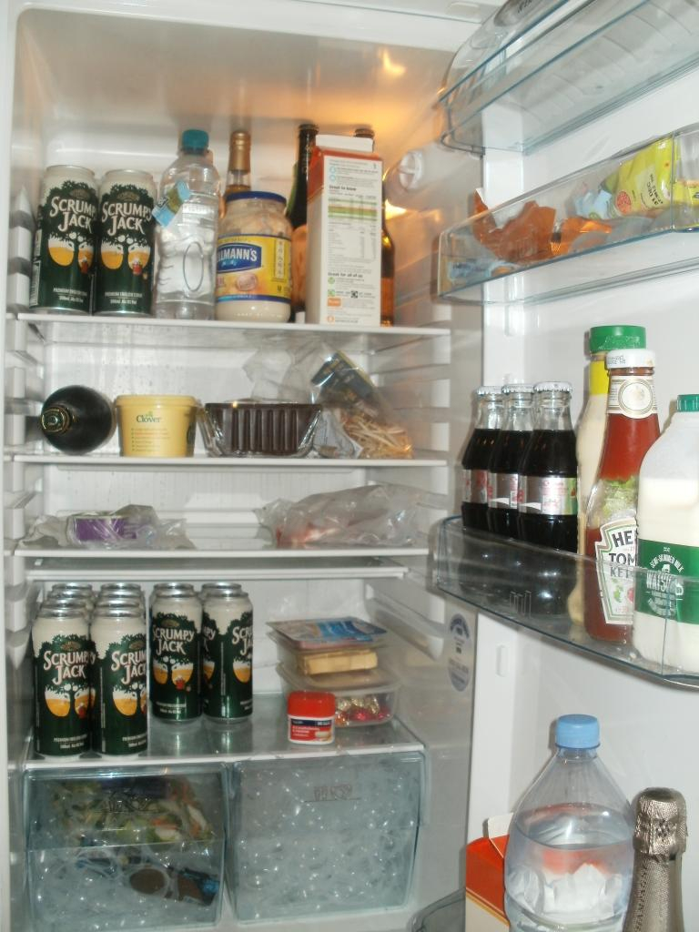 What does your fridge look like  Fridge_zpse6ac566a