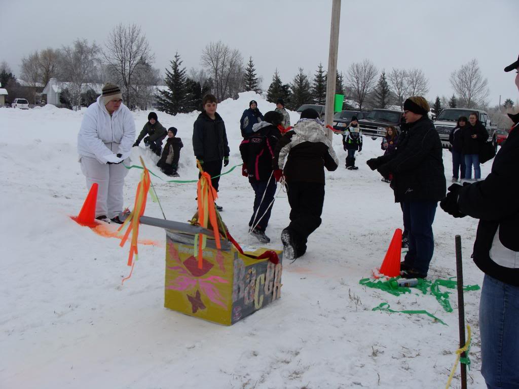 Cardboard Dog Sled DSC09917