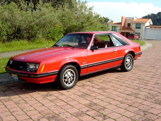 1980 - Rines originales Mustang 1980 Tamayo7908