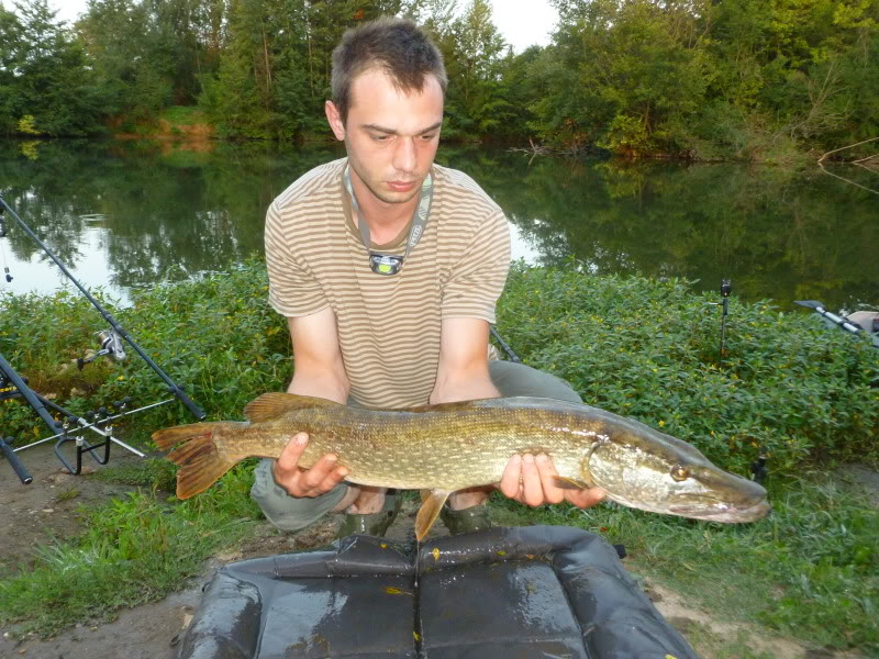 Session périgourdine sur l'Isle P1020027