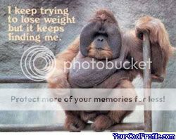 crazy mokey buisness pics Funny-monkeys-d