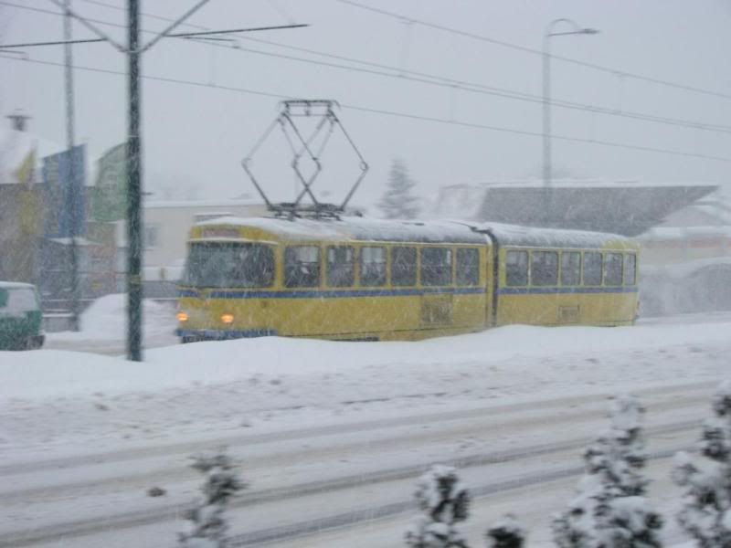 Dar ispod bora (Sarajevo) Sa18