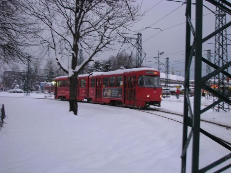 Dar ispod bora (Sarajevo) Sa32